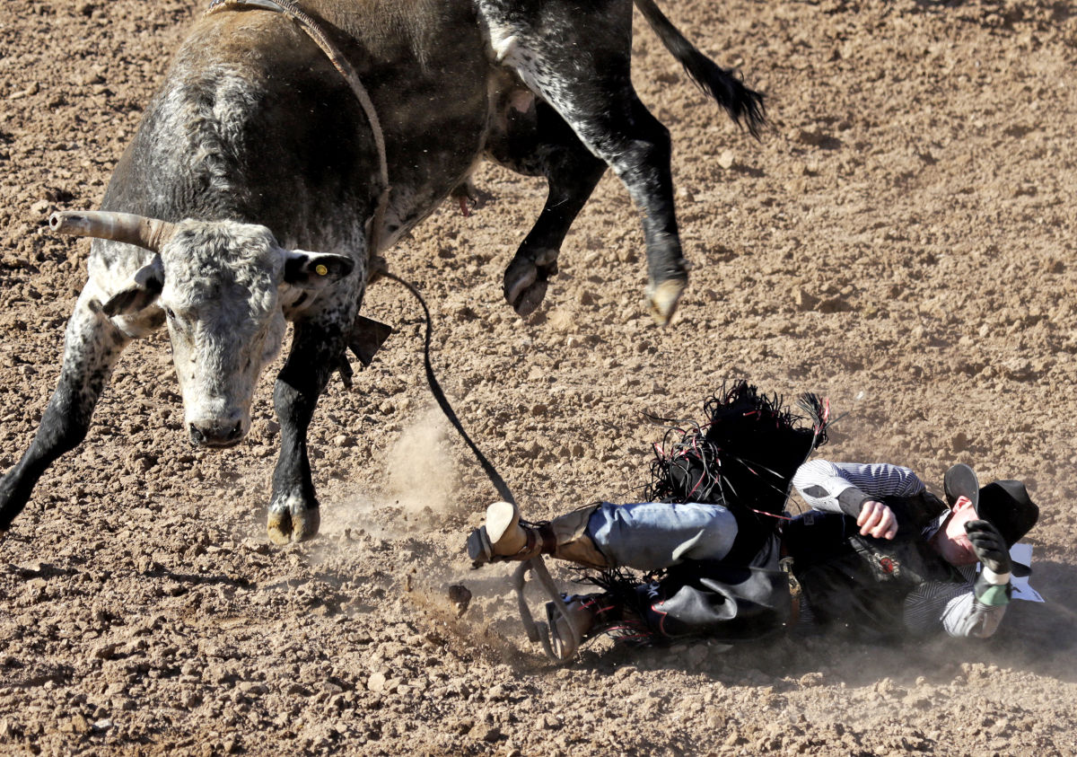 La Fiesta de los Vaqueros